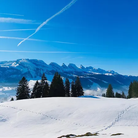 Mit Sauna In * Wildhaus