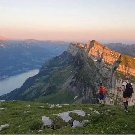 Mit Sauna In Apartament Wildhaus