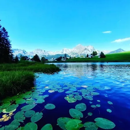 Mit Sauna In Apartament Wildhaus