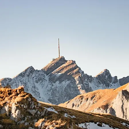 Mit Sauna In Apartament *