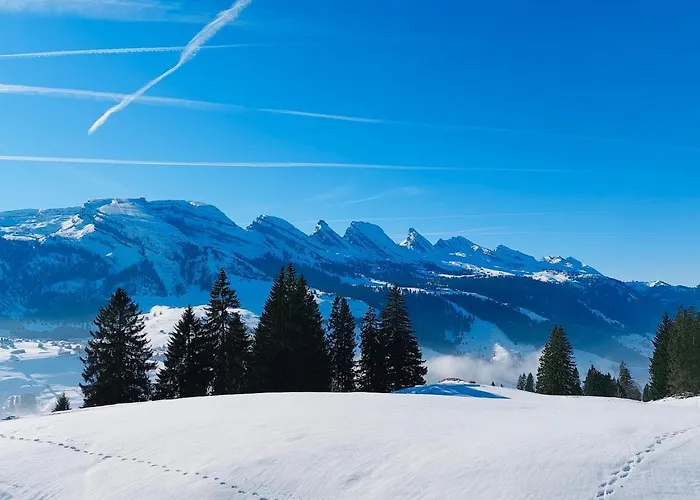 Mit Sauna In * Wildhaus