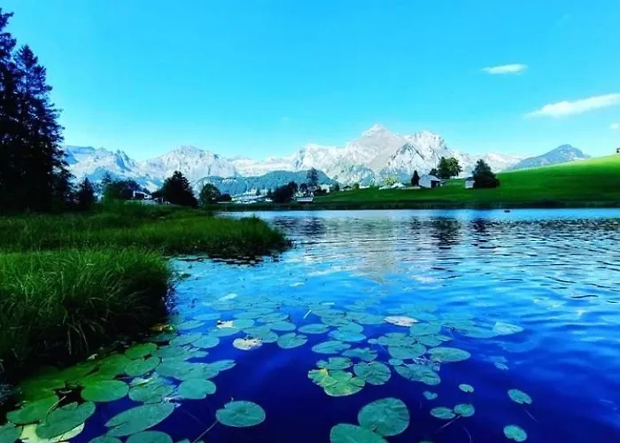 Mit Sauna In Apartamento Wildhaus