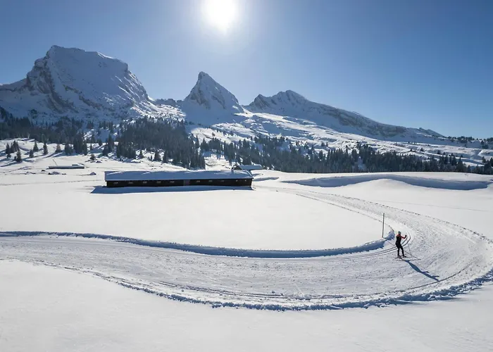 Appartement Mit Sauna In *